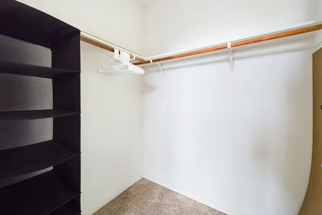 Could not identify