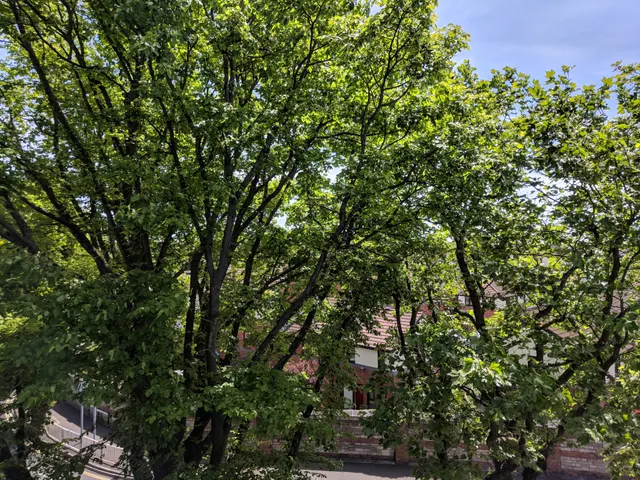 Could not identify