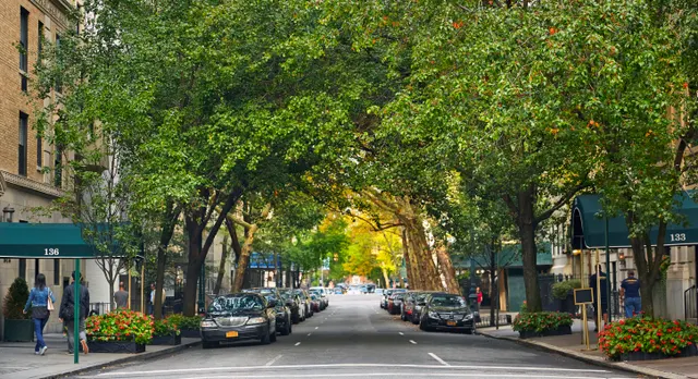 East 64th Street 215