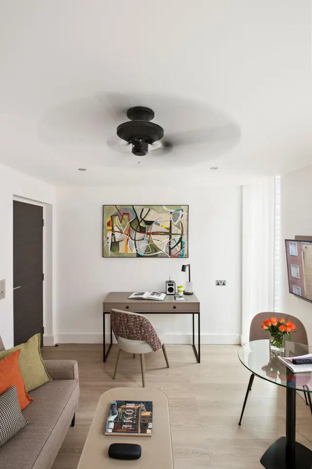1 bedroom apartment