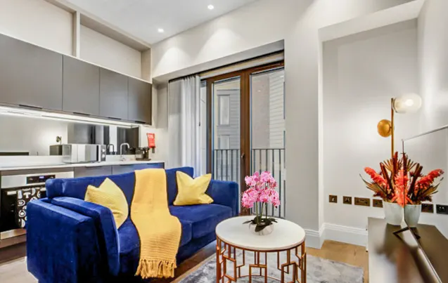 1 bedroom apartment