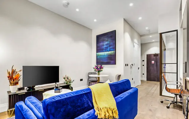 1 bedroom apartment
