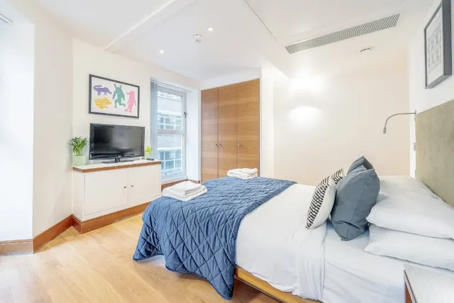 1 bedroom apartment