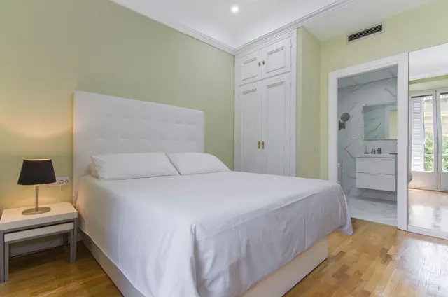 1 bedroom apartment