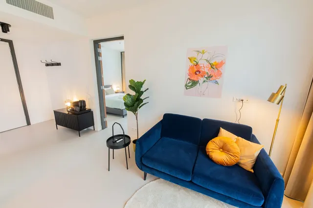 1 bedroom apartment